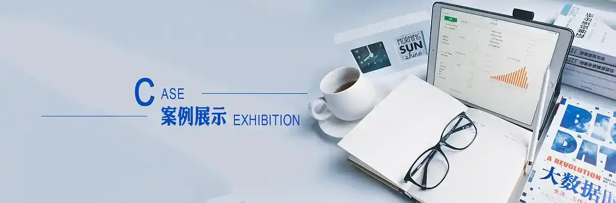 金塔县软件开发